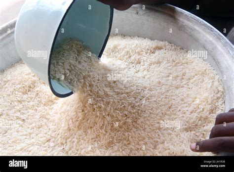 togo rice price.